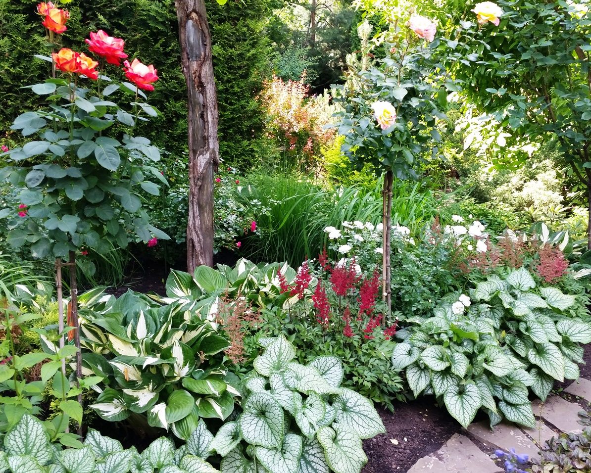 Проект Горки 2